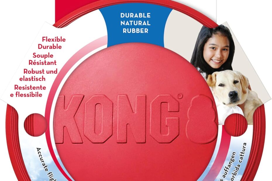 KONG Flyer: The Ultimate Safe Fetch Toy for Your Small Dog!