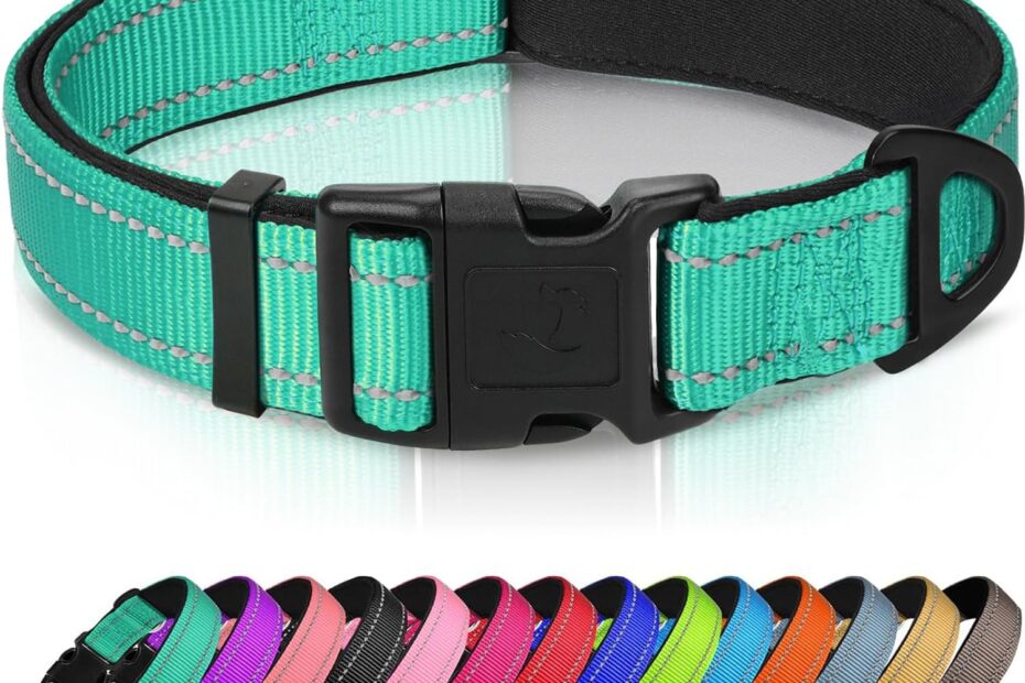 Light Up Your Pup's Style: Joytale Reflective Dog Collar Review