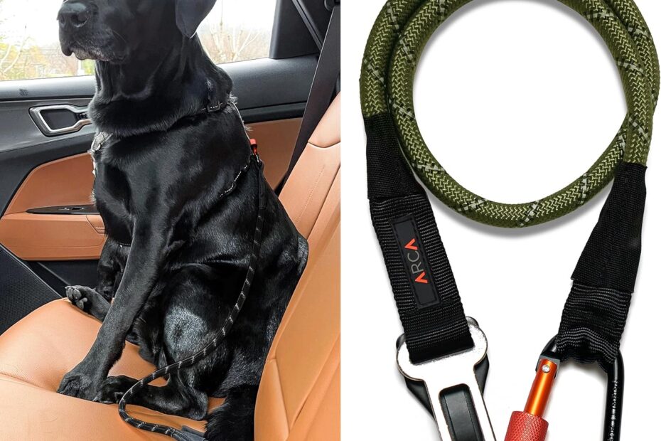 Maximize Pet Safety: Review of the Army Green Dog Seat Belt for Car