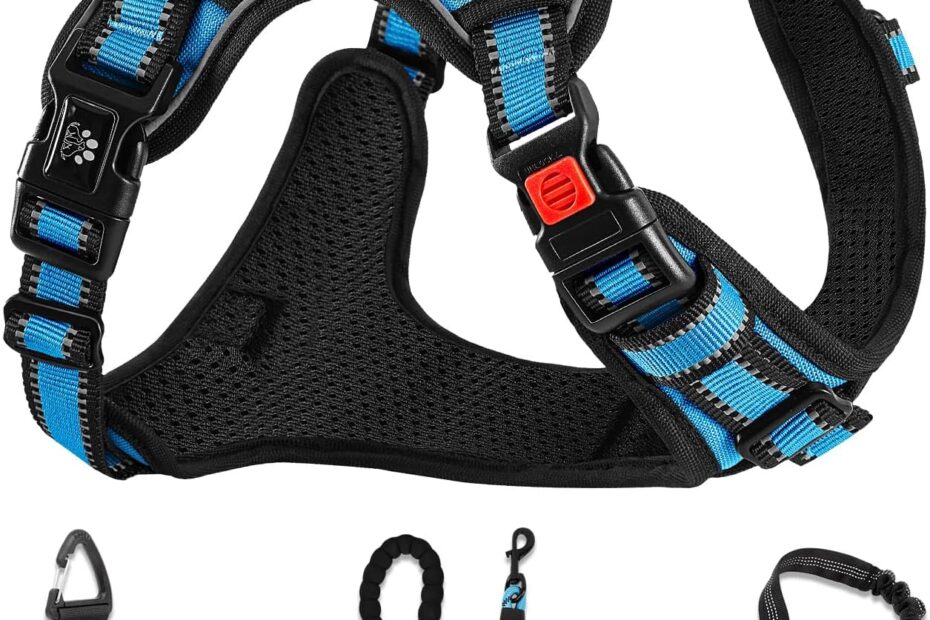 NESTROAD No Pull Dog Harness Review: The Perfect Fit for Small Dogs!