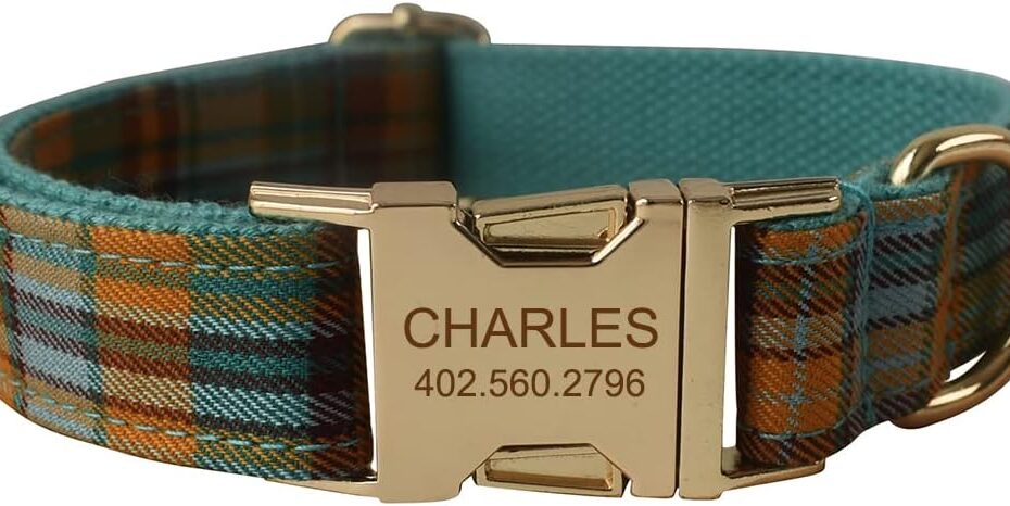 Personalized Safety: The Custom Dog Collar That Keeps Your Pup Safe & Stylish