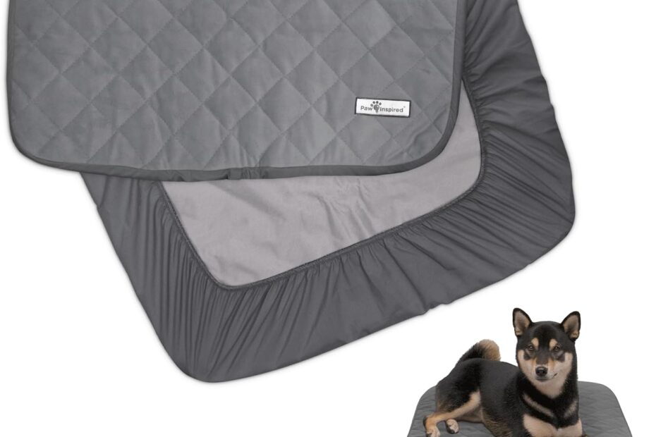 Protect Your Pup's Bed: Review of the Paw Inspired Waterproof Fitted Cover
