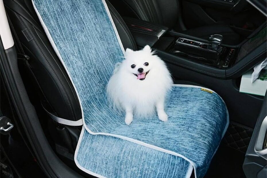 Protect Your Ride in Style: FUNNYFUZZY Chenille Dog Car Seat Cover Review