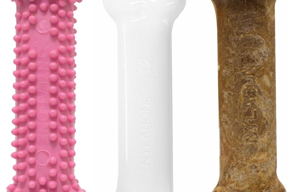 Puppy Paradise: Nylabone Chew Toys & Treats That Delight!