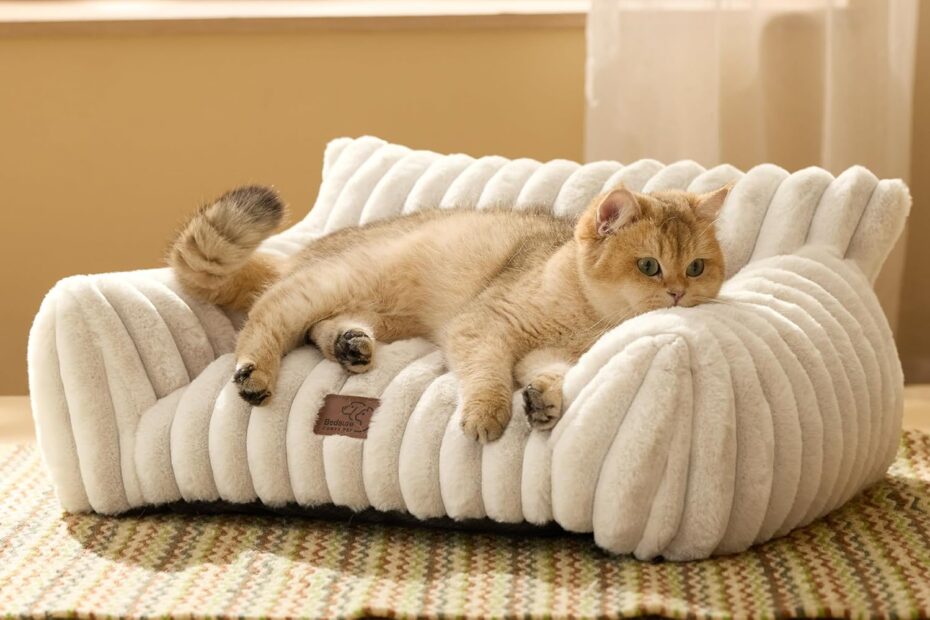 Purrfect Comfort: A Review of the Bedsure Cute Cat Couch for Cozy Companions