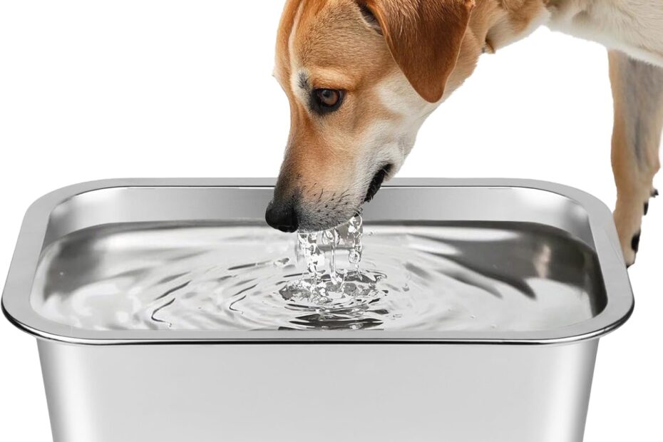Quench Your Pet's Thirst: The Ohtomber 1.25 Gallon Dog Water Bowl Review