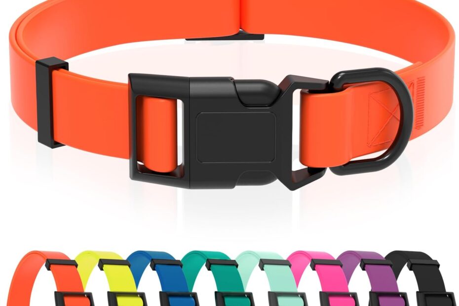 Ready for Adventure: The Ultimate Waterproof Dog Collar Review!