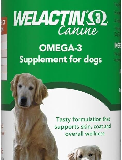 Rejuvenate Your Dog's Health: A Deep Dive into Nutramax Welactin Omega 3 Fish Oil