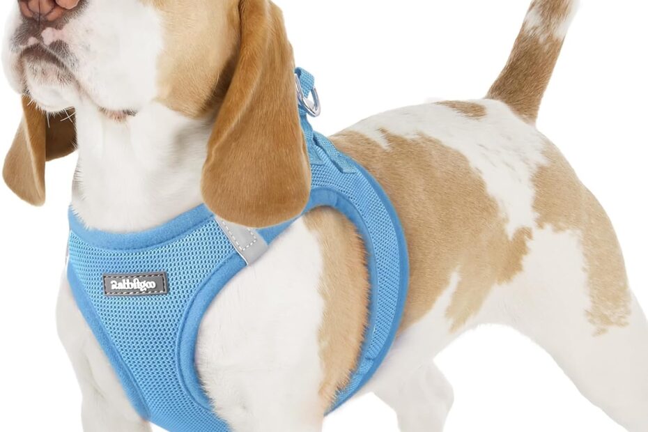 Review of the rabbitgoo Small Dog Harness: Comfort & Safety for Your Pup!
