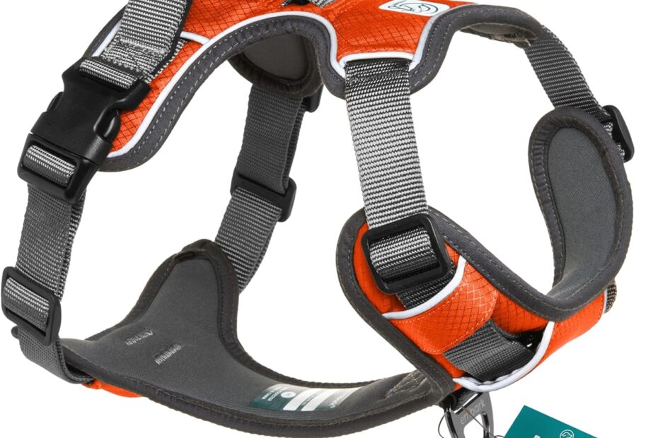 Reviewing the Embark Adventure Dog Harness: Ultimate Comfort and Control for XL Dogs!