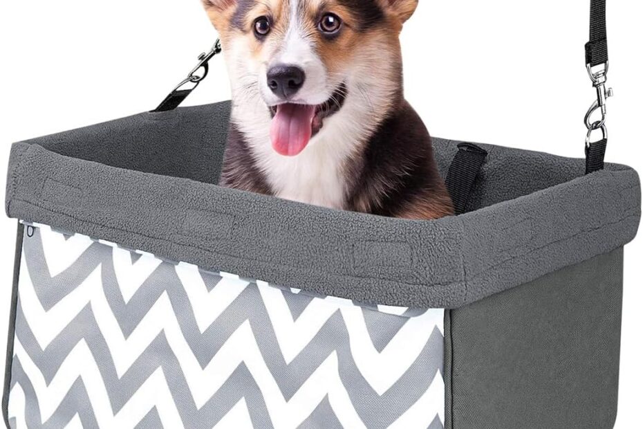 Road Trip Ready: Review of the JESPET & GOOPAWS Pet Safety Booster Car Seat