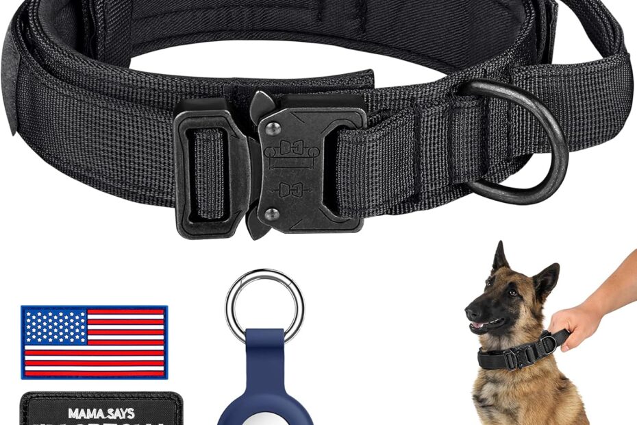 Rugged & Reliable: The DAGANXI Tactical Dog Collar Review