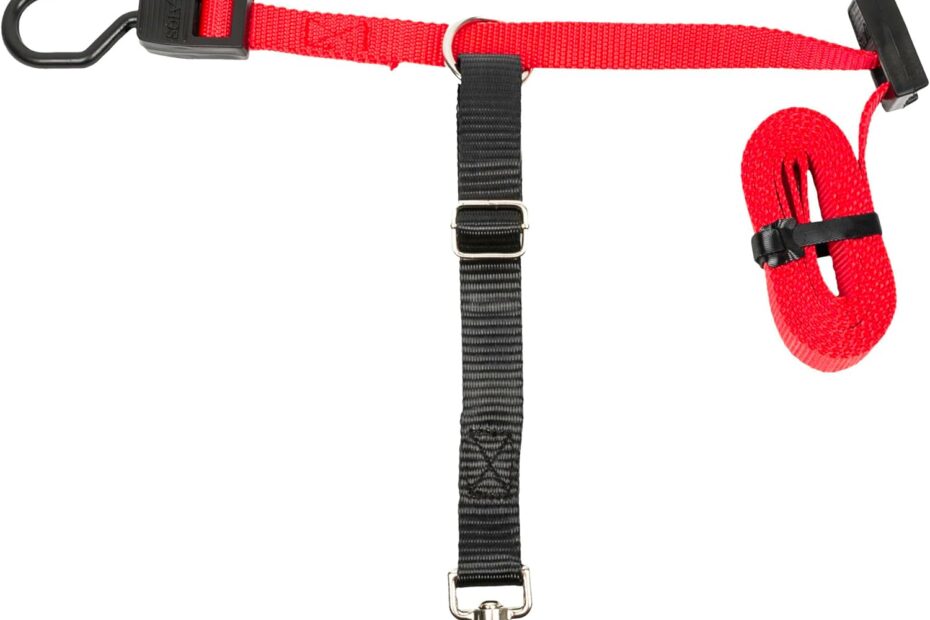 Safe & Happy Travels: A Review of the PetSafe Happy Ride Dog Zipline