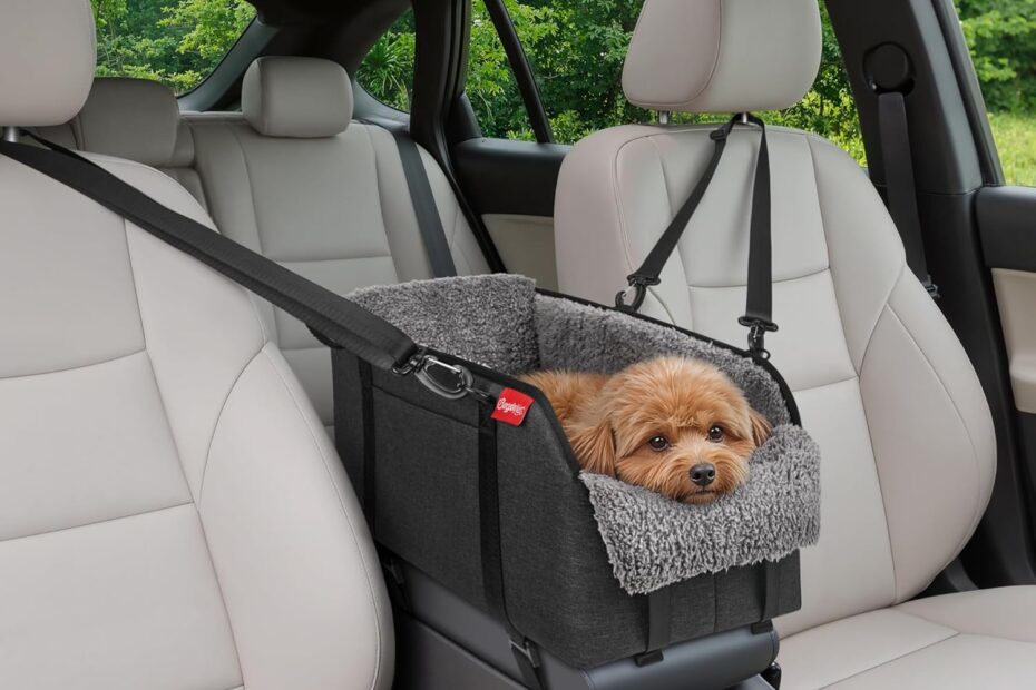 Safe & Stylish Car Travel: BurgeonNest Small Dog Booster Seat Review
