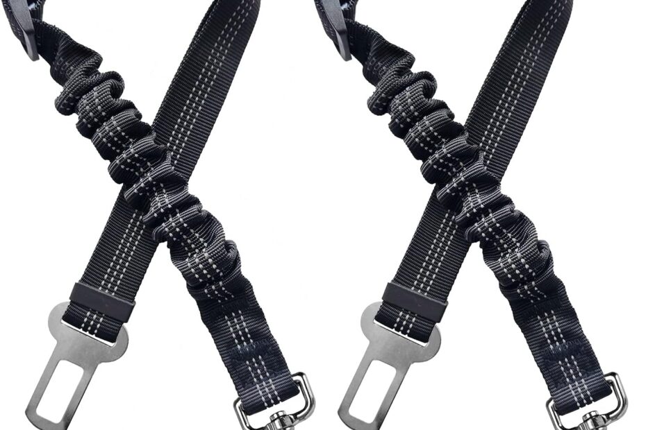Safe Travels: Review of the 2 Dog Seatbelt & Harness for Pet Safety