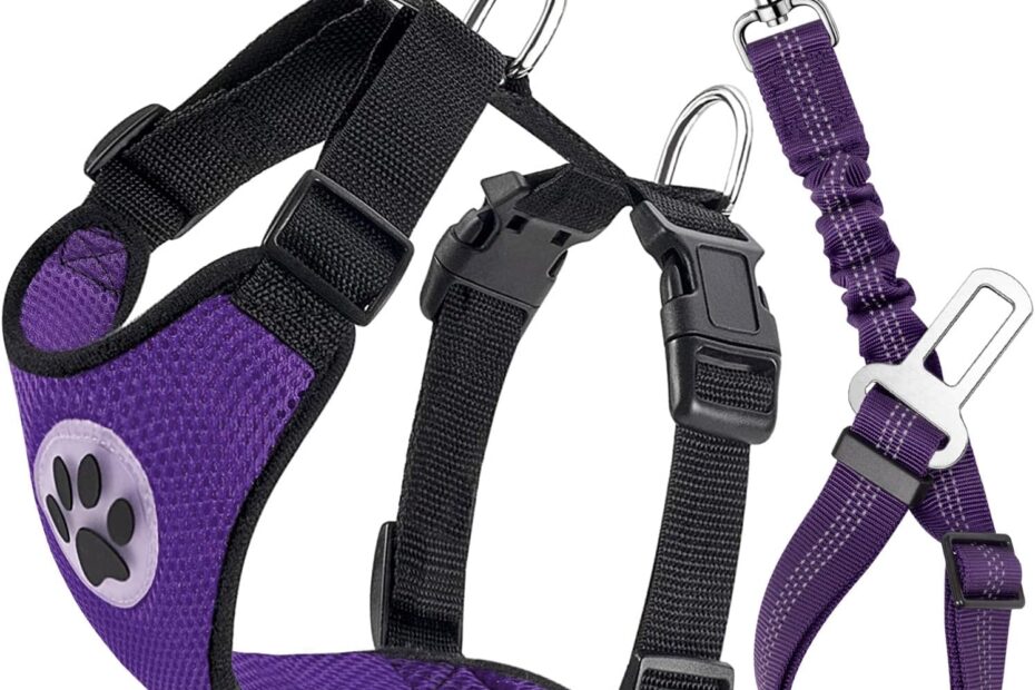 Safe Travels: Review of the Lukovee Dog Safety Vest Harness with Seatbelt