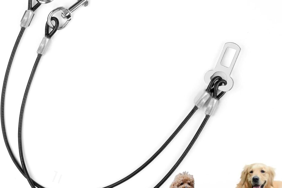 Safe Travels: The Ultimate Double Dog Seat Belt Review