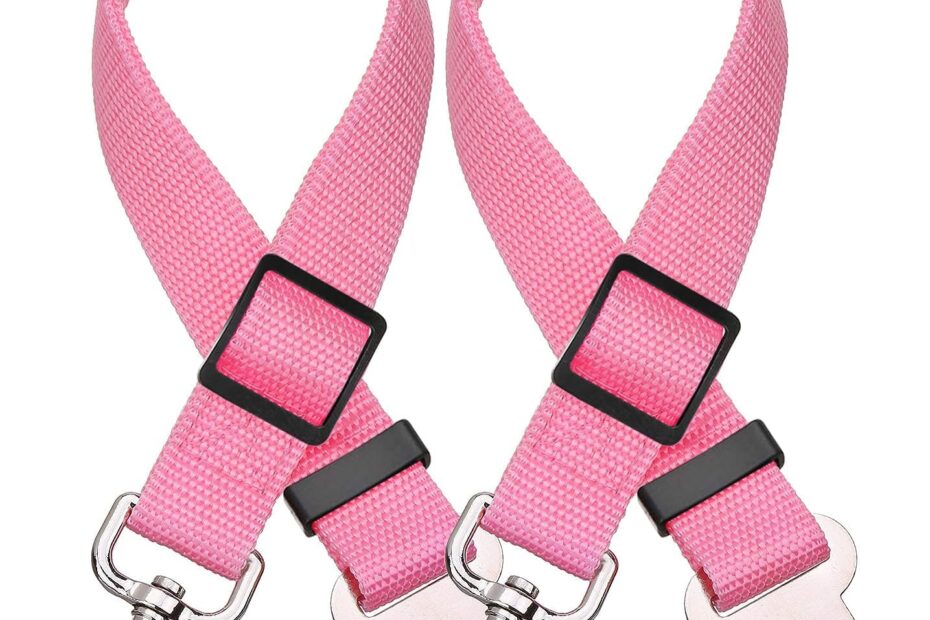 Safety First: Review of the Elisel Adjustable Pet Seat Belt for Dogs and Cats!