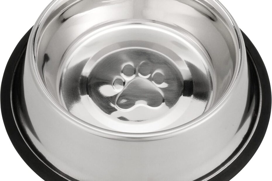 Say Goodbye to Mess: Review of Neater Pet Brands No-Skid Dog Bowl!