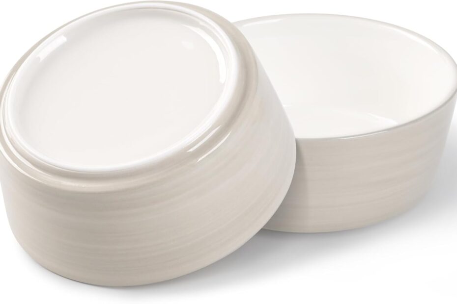 Say Goodbye to Spills: Review of the Non-Slip Ceramic Dog Bowls You Need!