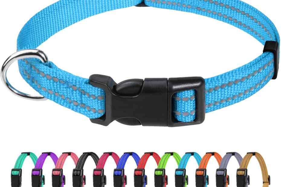 Secure and Stylish: TagME Reflective Collars for Small Dogs