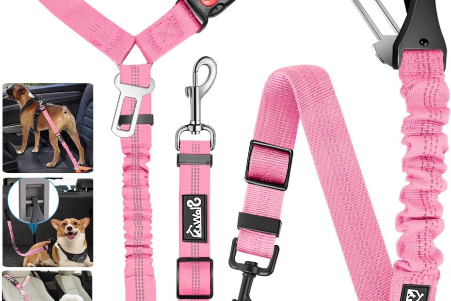 Secure Journeys: Review of the Lukovee Dog Seatbelt Leash for Safe Travels!