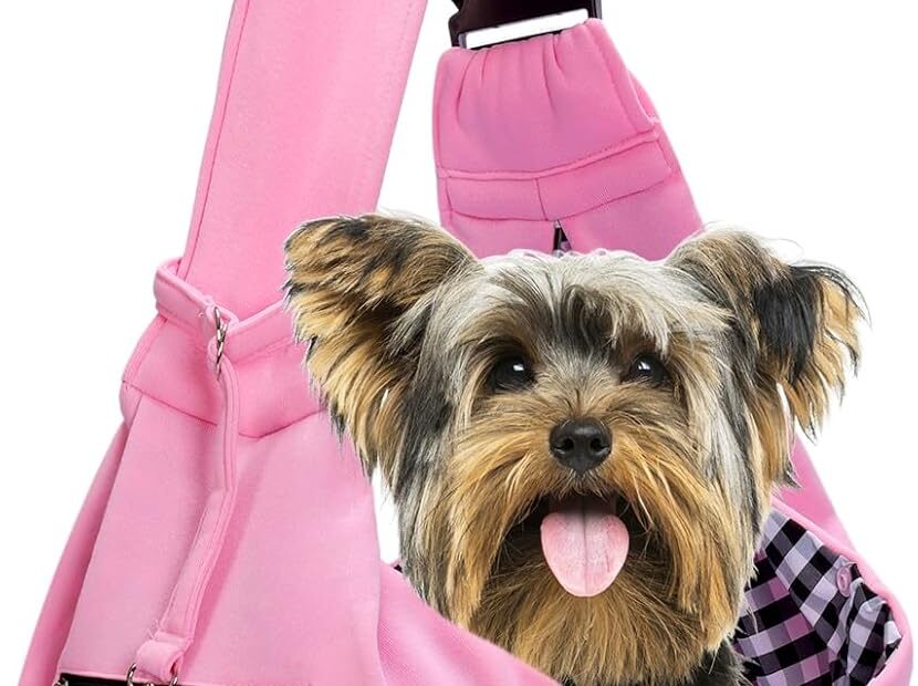 Secure & Stylish: The Best Adjustable Dog Carrier Sling for Small Pets