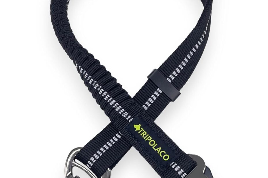 Secure Travels: Review of the 3-in-1 Dog Seat Belt for Enhanced Pet Safety