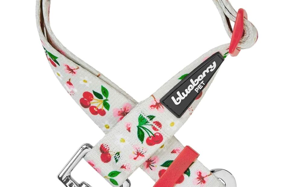 Secure Your Furry Friend: Reviews of the Blueberry Pet Adjustable Dog Seat Belt Tether