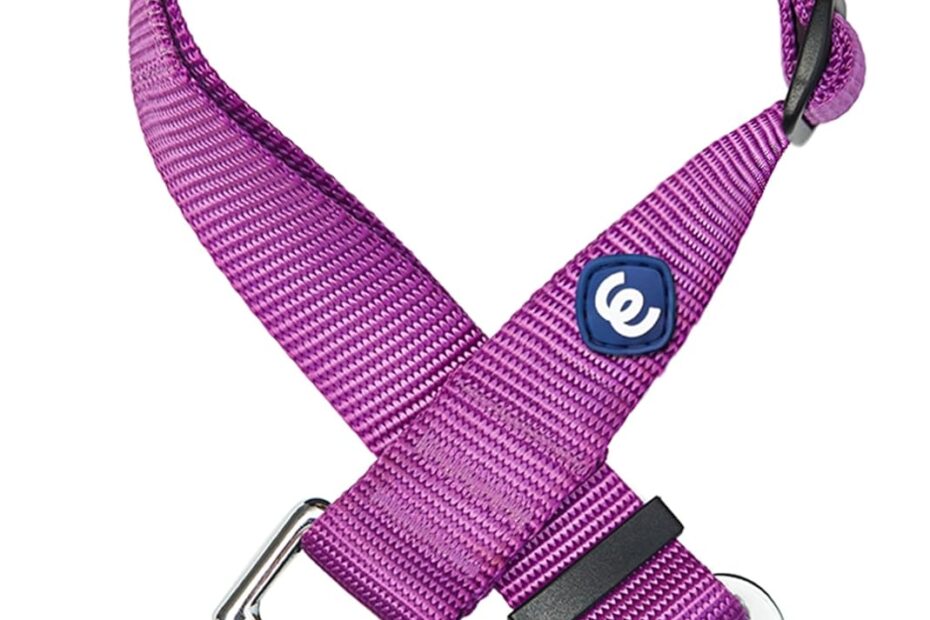 Secure Your Pup: Blueberry Pet Heavy Duty Dog Seatbelt Review
