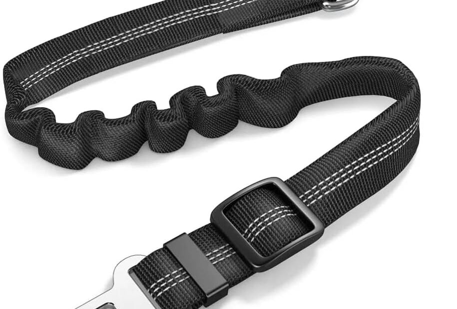 Secure Your Pup: Review of the CZZY Adjustable Dog Car Seat Belt!