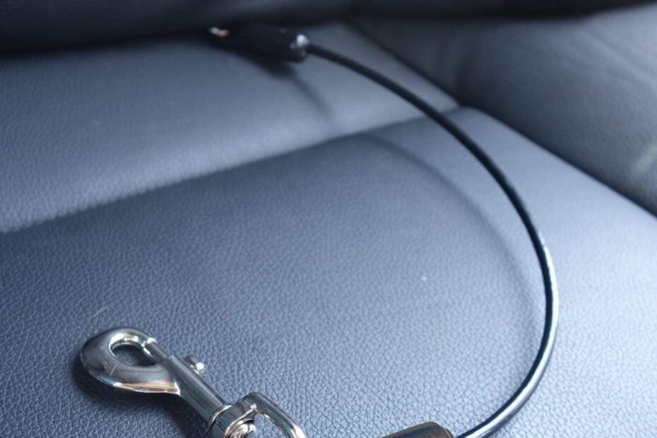 Secure Your Pup: Review of the Leash Boss Dog Car Seat Belt Restraint