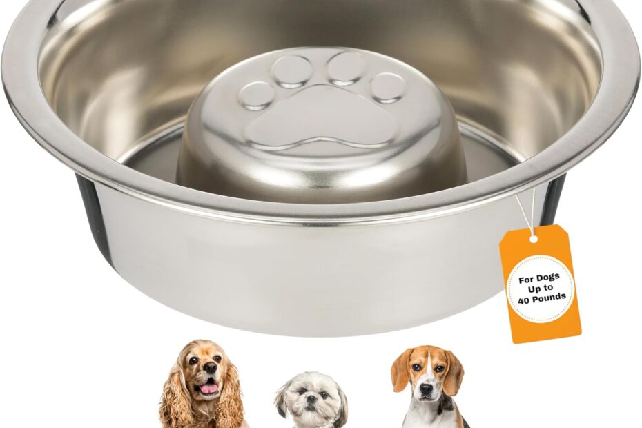 Slow Down Mealtime: A Review of the Neater Pet Brands Stainless Steel Slow Feed Dog Bowl