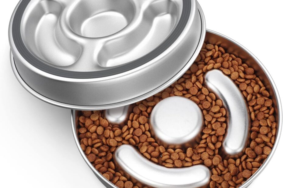 Slow Down Mealtime: The Ultimate Stainless Steel Dog Bowl for Fast Eaters