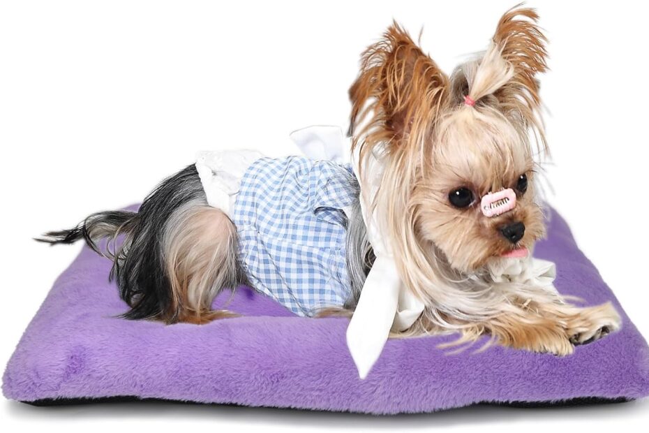 Snuggle Time: Ultimate Review of the Extra Small Super Soft Plush Dog Bed in Purple!