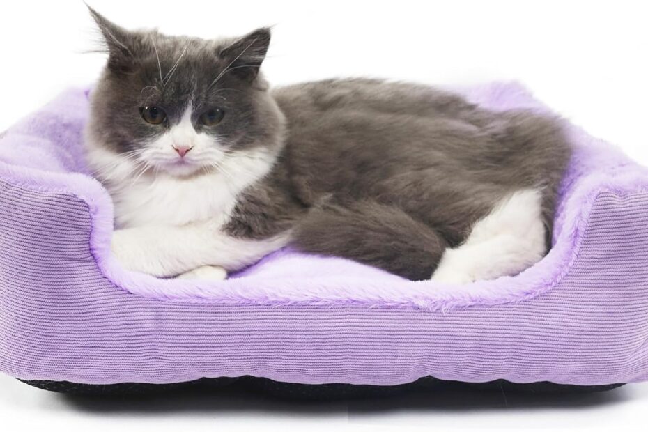 Snuggle Up: Review of the Tiny Dog Bed - Perfect Comfort for Your Pup!