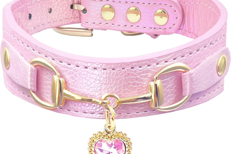 Sparkle and Love: The Iridescent Dog Collar Every Pup Deserves!