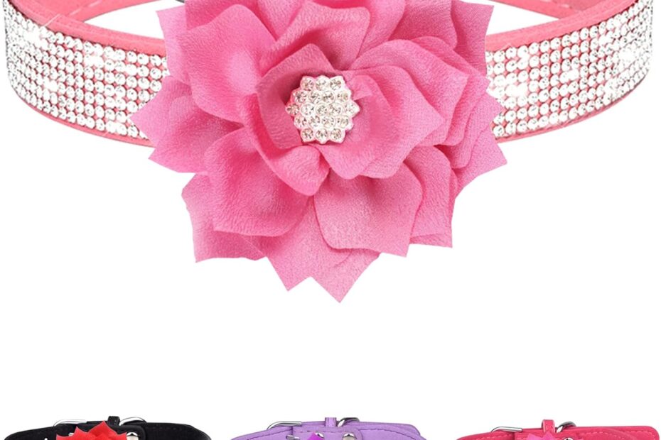 Sparkle and Style: The Ultimate Rhinestone Dog Collar Review for Your Fashionable Pup!
