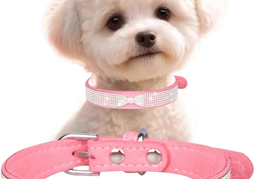 Sparkle in Style: Review of the Pink XXS Rhinestone Dog Collar for Your Glamorous Pet