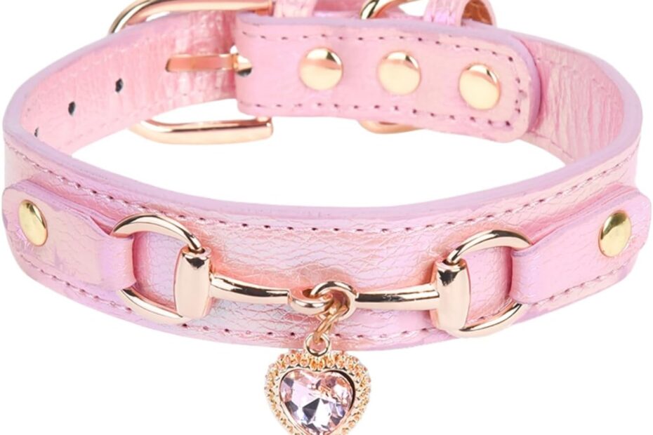 Sparkle in Style: Review of the THAIN Bling Dog Collar for Fashion-Forward Pups