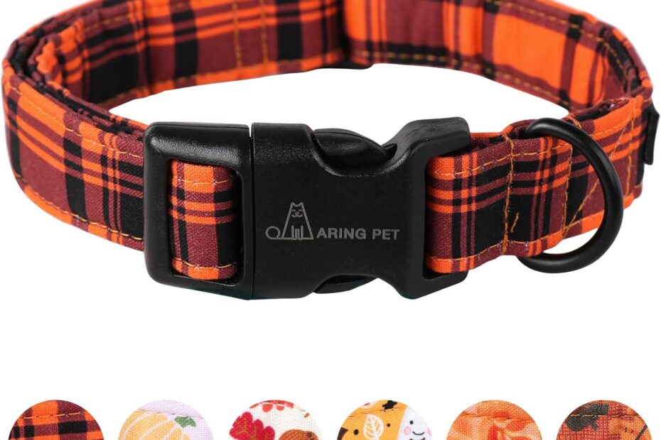 Spooktacular Style: A Review of the ARING PET Halloween Dog Collar