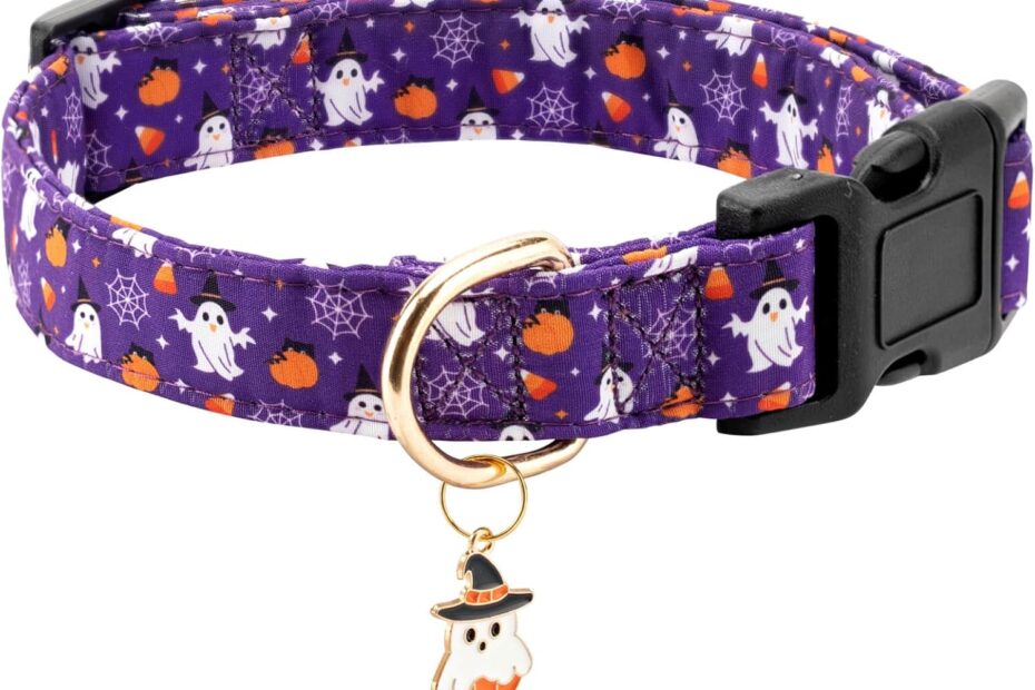 Spook-tacular Style: The Adorable Fall Dog Collar for Halloween! ๐พ๐ป