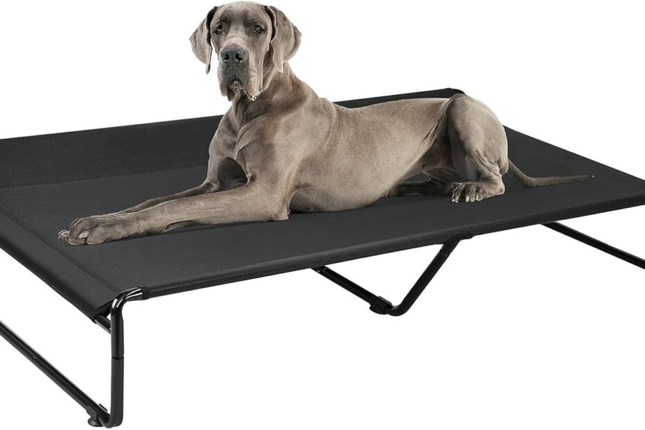 Stay Cool and Comfy: A Review of the Veehoo Elevated Dog Bed for Large Dogs