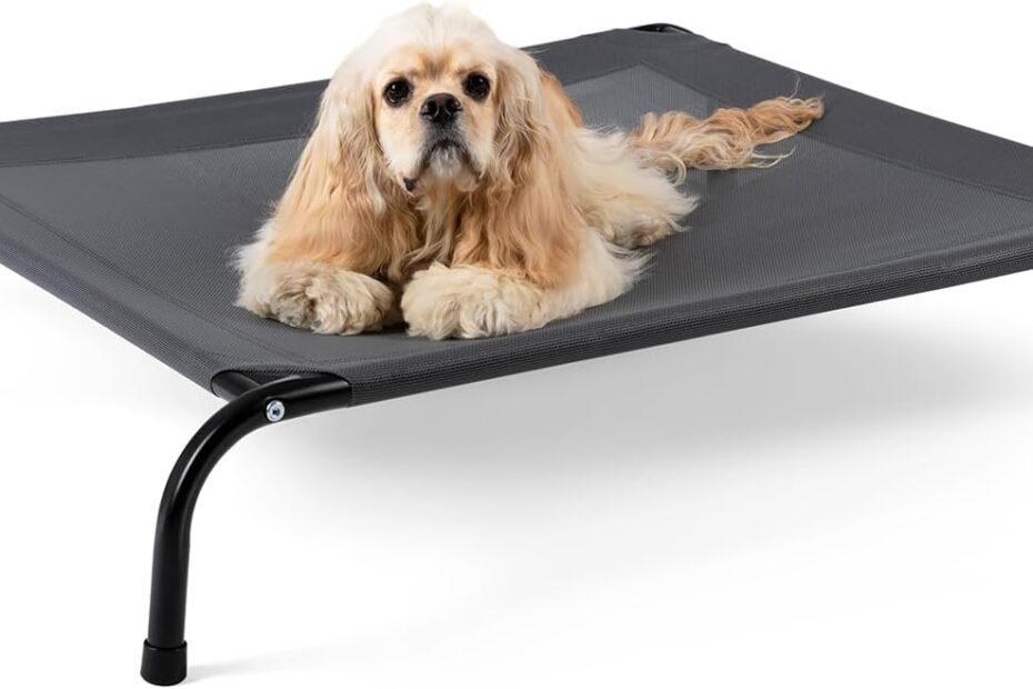 Stay Cool and Comfy: The Ultimate Elevated Dog Bed Review!