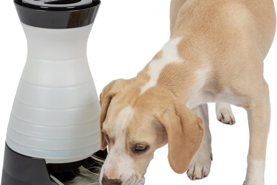 Stay Hydrated: Discover the PetSafe Healthy Pet Water Station Review!