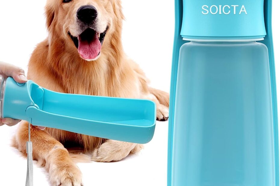 Stay Hydrated on the Go: A Review of the Portable Dog Water Bottle for All Pets!