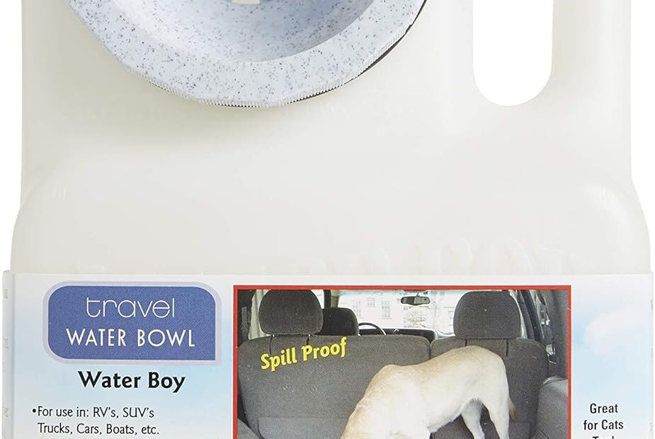 Stay Hydrated on the Go: Lixit Dog Travel Water Bowl Review