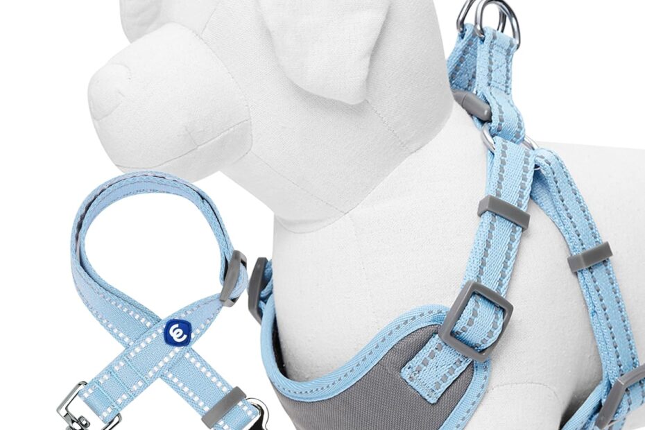 Stay Safe and Stylish: Blueberry Pet's Pastel Reflective Dog Harness Review