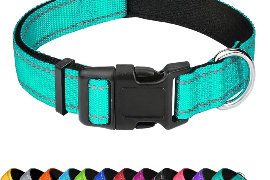 Stay Safe and Stylish: The Best Reflective Dog Collar for Your Small Pup!
