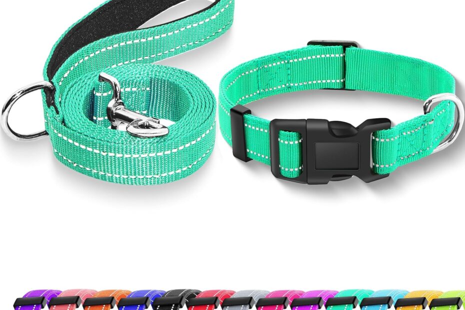 Stay Safe and Stylish: The Ultimate Reflective Dog Collar Review